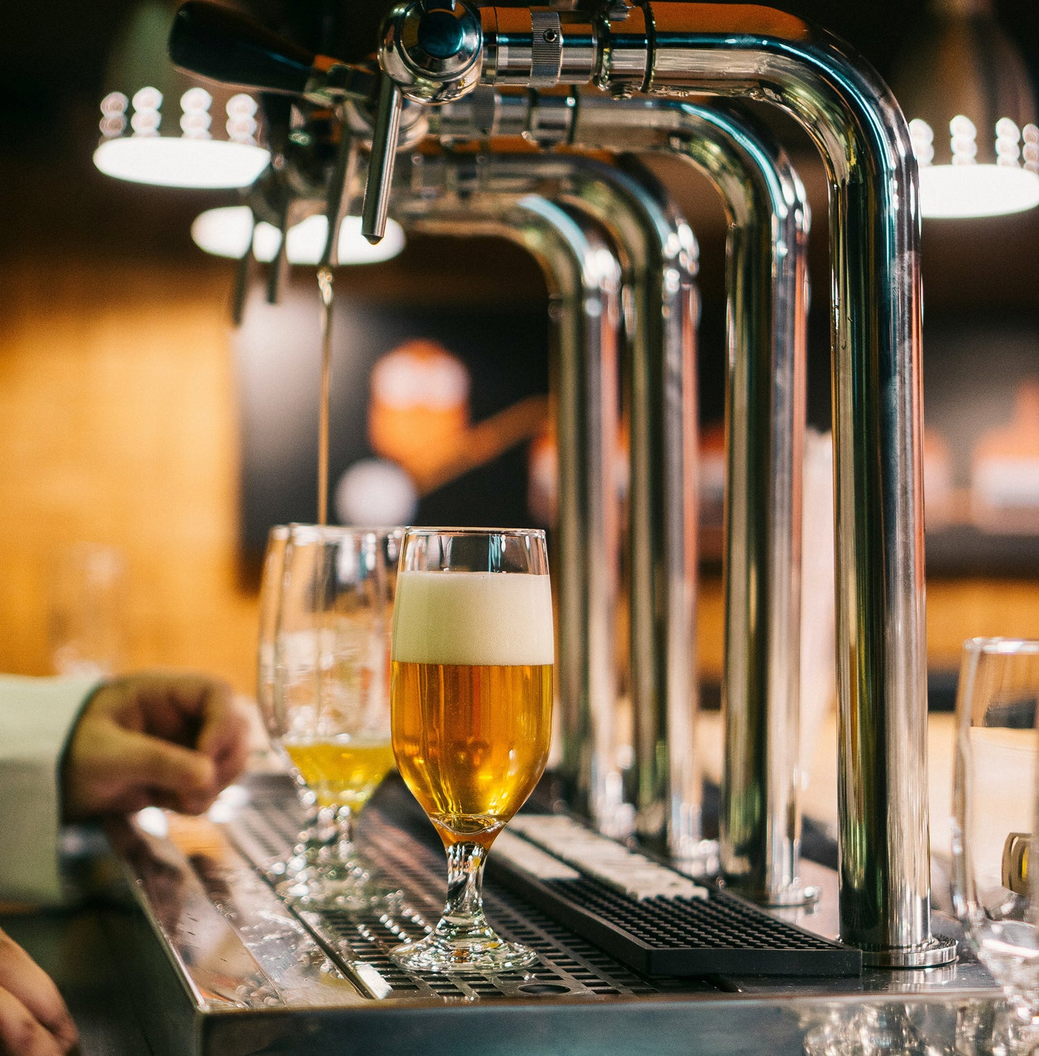 Grifo - Cervezas Gran Vía